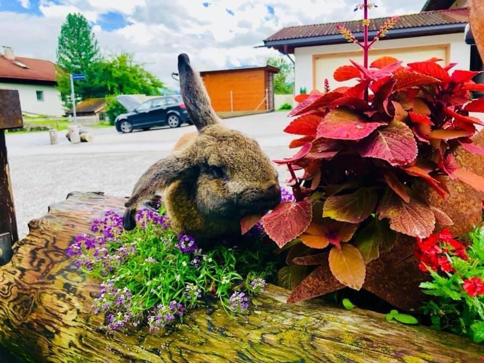 Restaurant Gaestehaus Wiesenheim Uderns Exteriör bild